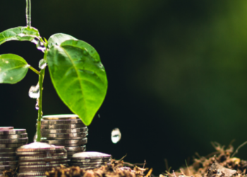 Fonds verts pour le climat : le bassin du Congo marginalisé comparativement à l’Asie du Sud-Est et l’Amazonie