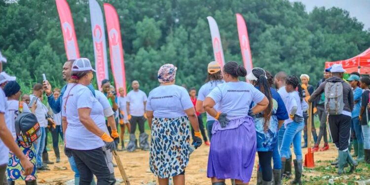 Résilience écologique : Sobraga et ses partenaires reboisent la mangrove de Mindoubé à Libreville