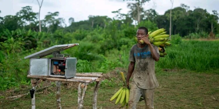 Lutte contre le Conflit Homme-Faune : Space for Giants et Conservation Justice s’associent