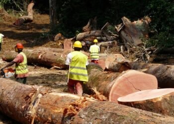 RDUE : la Commission européenne prolonge le délai de mise en œuvre