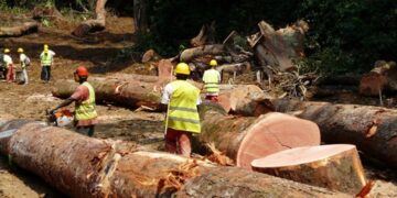 RDUE : la Commission européenne prolonge le délai de mise en œuvre