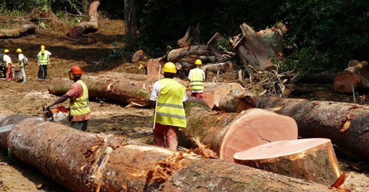 RDUE : la Commission européenne prolonge le délai de mise en œuvre