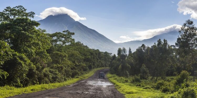 Bassin du Congo : le secteur forestier pèse à peine 9% du PIB des pays membres