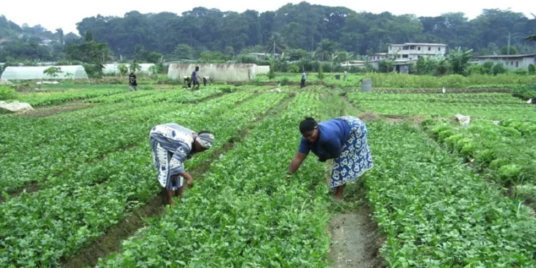 L’Igad face à l’urgence de sa redynamisation