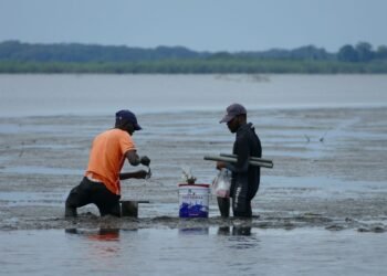 Ecotrop : la protection du milieu marin au menu de l’édition 2025