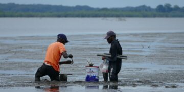 Ecotrop : la protection du milieu marin au menu de l’édition 2025