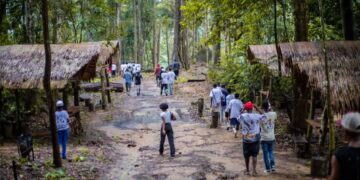 Tourisme : à peine 350 000 visiteurs pour le Gabon