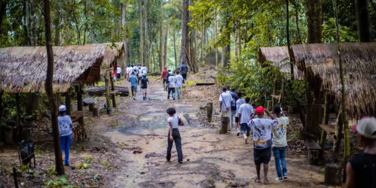 Tourisme : à peine 350 000 visiteurs pour le Gabon