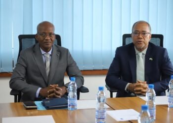 Gouvernance forestière : le PNUD et les Eaux et Forêts pour une feuille de route ambitieuse