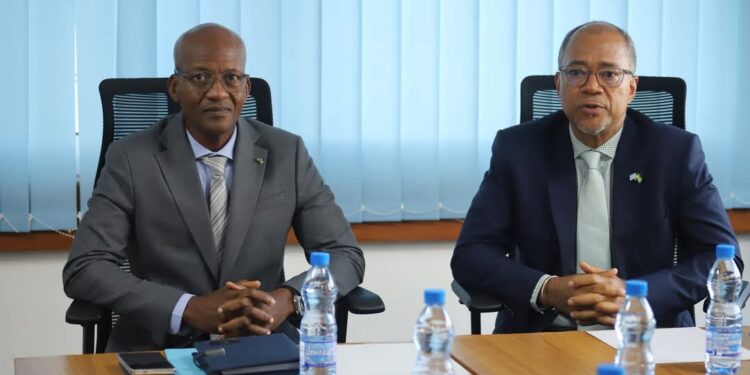 Gouvernance forestière : le PNUD et les Eaux et Forêts pour une feuille de route ambitieuse