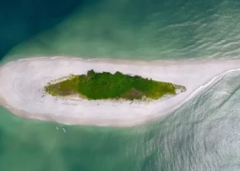 Ilots Mbanié, Cocotiers et Conga : illusion touristique et économique pour le Gabon?