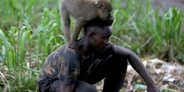 Au Gabon, l’approche One Health pour sauvegarder les ressources naturelles