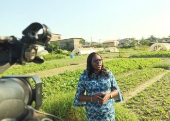 Journée mondiale de la santé des végétaux : « la lutte contre les maladies des plantes est un facteur d’optimisation de rendement » dixit Odette Polo