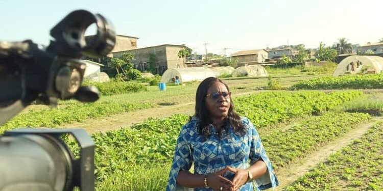 Journée mondiale de la santé des végétaux : « la lutte contre les maladies des plantes est un facteur d’optimisation de rendement » dixit Odette Polo