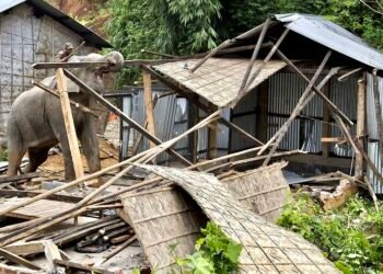 CHF : le projet RESSAC Waka prospecte de nouvelles solutions au Gabon