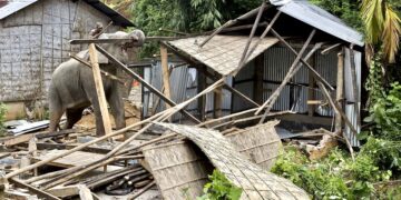 CHF : le projet RESSAC Waka prospecte de nouvelles solutions au Gabon