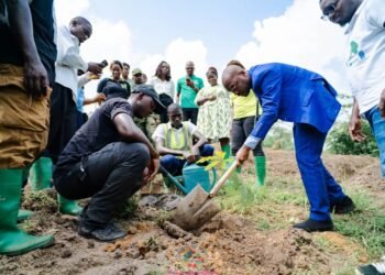 Semaine nationale de l’Environnement : l’envers du décor de la célébration au Gabon