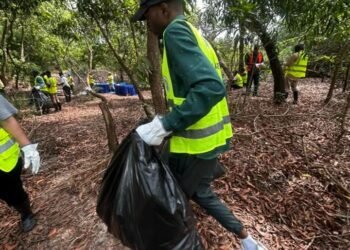 « Zéro Déchet dans les Mangroves » : l’ONG La Liane et partenaires collectent près de 1500 déchets dans la mangrove de la voie de contournement