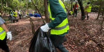 « Zéro Déchet dans les Mangroves » : l’ONG La Liane et partenaires collectent près de 1500 déchets dans la mangrove de la voie de contournement