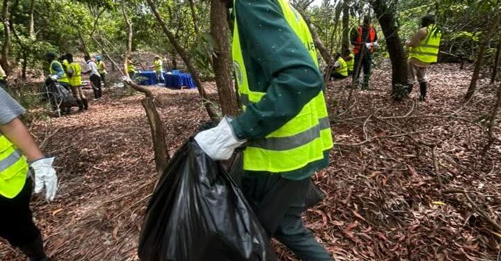 « Zéro Déchet dans les Mangroves » : l’ONG La Liane et partenaires collectent près de 1500 déchets dans la mangrove de la voie de contournement