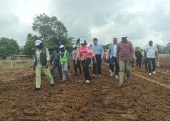 Kango : vers la construction d’une Base de vulgarisation des techniques agricoles (BVTA)