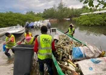 JME : La Liane, une ONG engagée contre la prolifération du plastique sur le littoral de l’Estuaire
