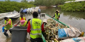 JME : La Liane, une ONG engagée contre la prolifération du plastique sur le littoral de l’Estuaire