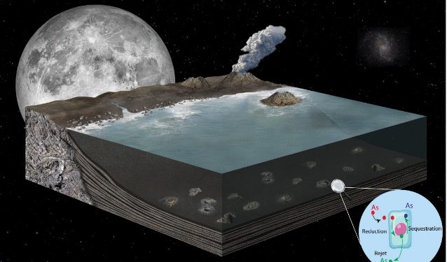 Survie ou déclin de la vie primitive ? : un combat face à l’océan toxique sous stress chimique