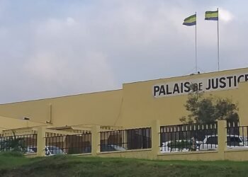 Trafic d’ivoire : Ibrahim N. appelé à comparaître à nouveau le 27 juin 2025