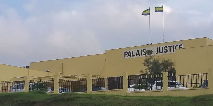 Trafic d’ivoire : Ibrahim N. appelé à comparaître à nouveau le 27 juin 2025