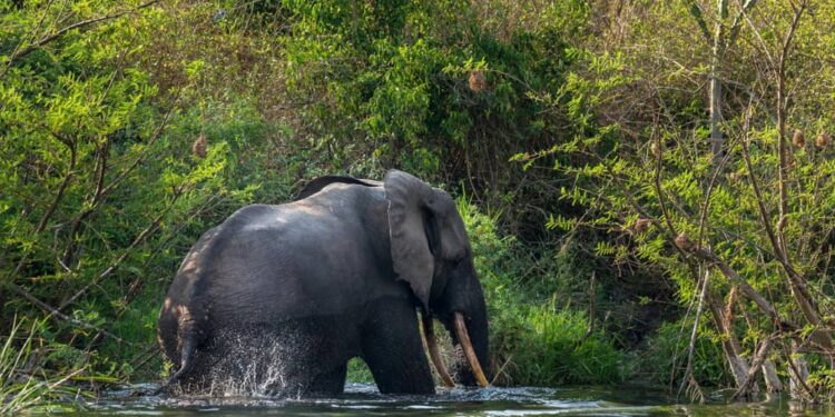 CCGL : vers une nouvelle intelligence collective pour la gestion des parcs