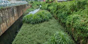 Assainissement urbain : quand Adrien Nguema Mba tourne le dos aux vrais problèmes
