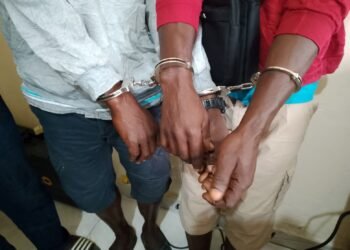 Trafic d’ivoires : trois personnes prises dans les mailles de la DLCB et la PJ à Port-Gentil