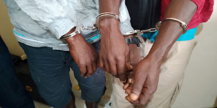 Trafic d’ivoires : trois personnes prises dans les mailles de la DLCB et la PJ à Port-Gentil