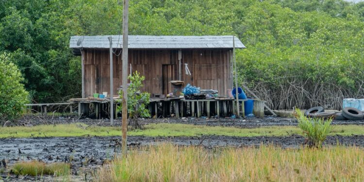 Ecosystèmes côtiers : « nous sommes pour le déguerpissement des populations des mangroves », Landry Lignabou