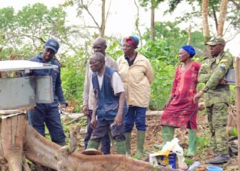 Clôtures électriques mobiles : 1800 unités à pourvoir dans les neuf provinces du Gabon