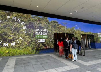 Résilience écologique : criard déséquilibre entre services rendus à la planète et rémunération verte, le Gabon un cas d’école
