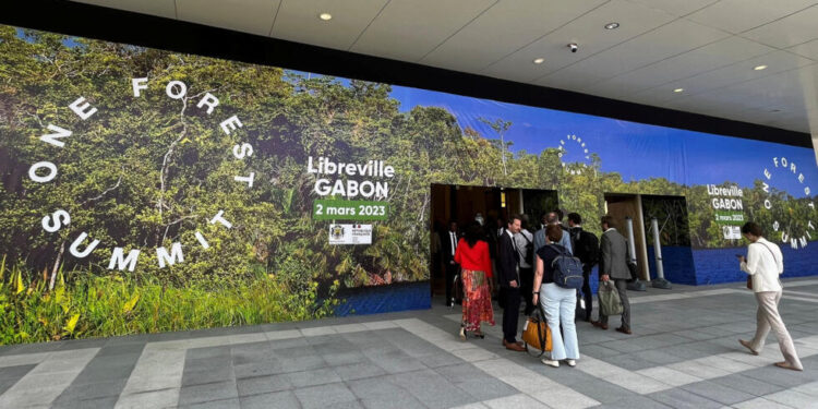 Résilience écologique : criard déséquilibre entre services rendus à la planète et rémunération verte, le Gabon un cas d’école