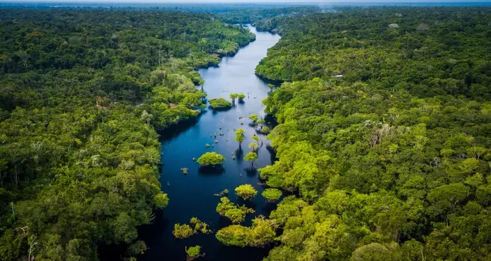 Forêt gabonaise : un capital naturel stratégique salué par la Banque mondiale
