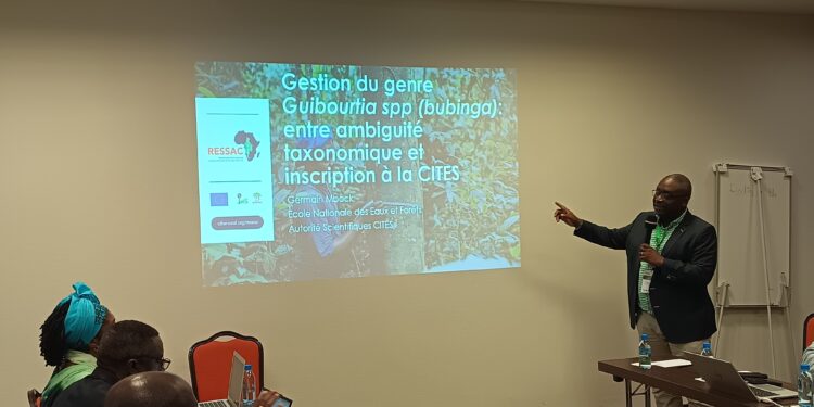 Criminalité environnementale : un Side Event du programme RESSAC met en lumière la « criminalité » muette