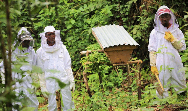 Quand protéger la nature paie enfin, le Gabon investit dans ses communautés rurales