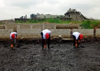 33 Export Corporate Championship : Sobraga renforce son engagement écologique pour la mangrove de Mindoubé