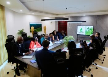 PFNL et économie verte : le Gabon à la croisée des chemins entre investissements étrangers et valorisation locale