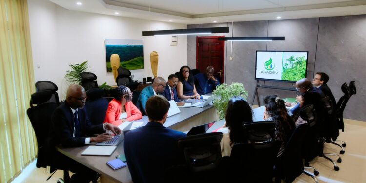 PFNL et économie verte : le Gabon à la croisée des chemins entre investissements étrangers et valorisation locale