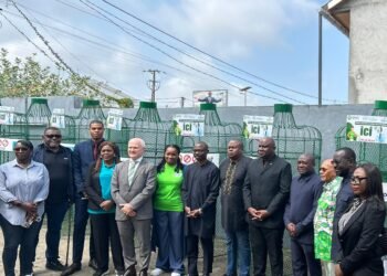 Conservation des écosystèmes de mangrove : les ONGs tirent la sonnette d’alarme à Libreville