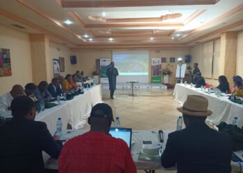 Résilience climatique et forestière : des Journalistes d’Afrique Centrale à l’école du savoir du CIFOR-ICRAF à Yaoundé