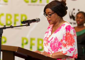 Co-facilitation du PFBC : le Gabon cède la place à la RDC