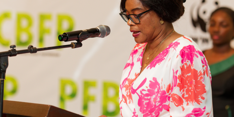 Co-facilitation du PFBC : le Gabon cède la place à la RDC