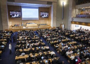 Lutte contre la pollution plastique : quand les profits étranglent la planète