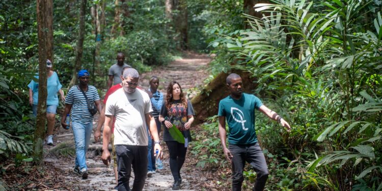 Les Rendez-vous du REMAPSEN Gabon : la Coordination pays à la découverte de l’Arboretum Raponda Walker